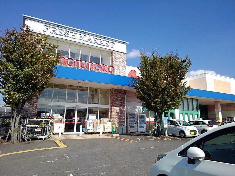 レオパレスダンダンめぐみ 周辺環境