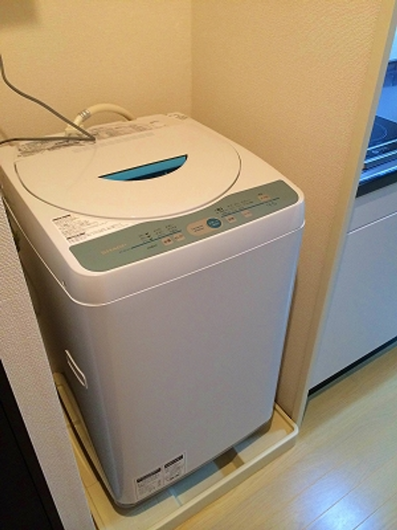 レオネクストルナ その他