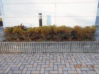レオパレスＡＬＣＡＺＡＲ 庭