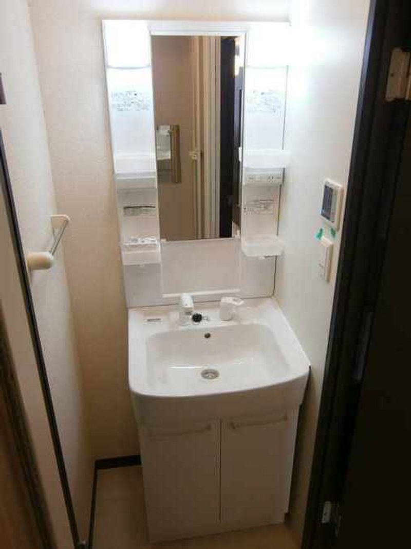 LEONEXT Sunlight House Sink