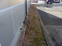 レオパレスカヴェルナ 庭