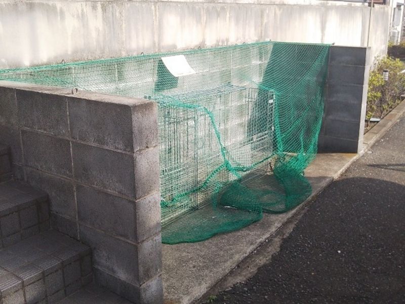 レオパレスブルースカイ 共用部分