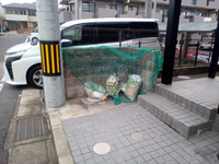 leopalace Mori III 共用部分