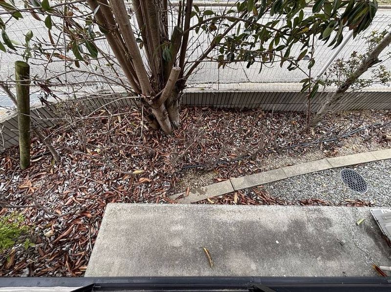 leopalace BOSHUKE Okubo Balcony