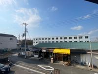 LEONEXT Sugi Tầm nhìn