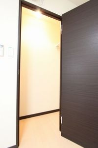 レオネクストサリエール 収納