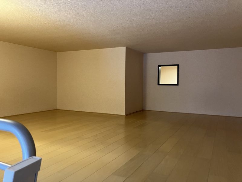 レオネクストラフテル その他