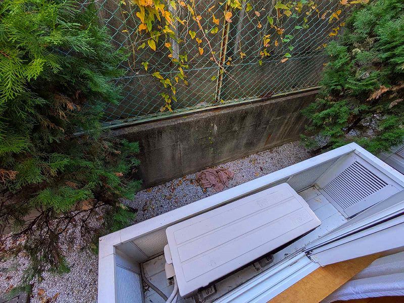 leopalace Lively Star II Khác