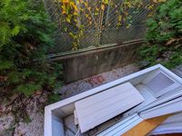 leopalace Lively Star II Khác