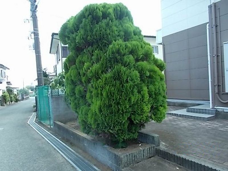 レオパレス泉Ⅱ エントランス