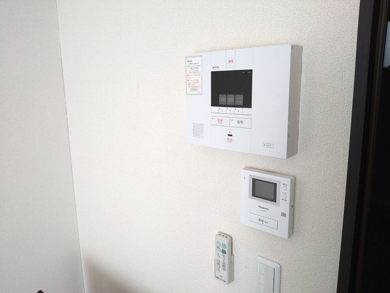 レオネクストアナスタシア セキュリティ