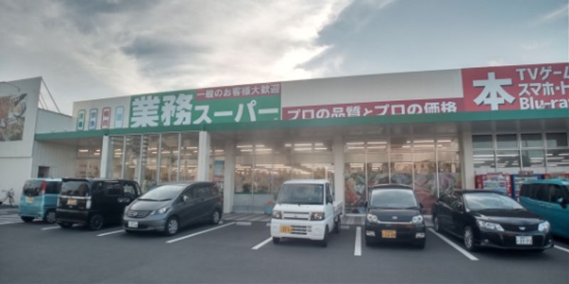 レオネクストＹｏｕ 周辺環境