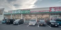 レオネクストＹｏｕ 周辺環境