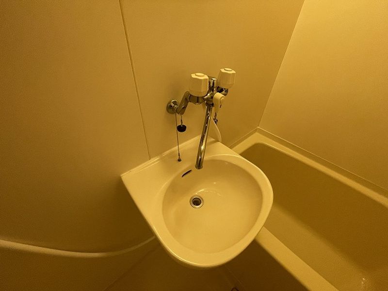 レオパレス向日葵 洗面所