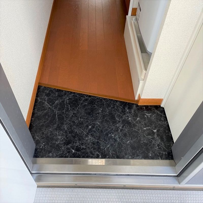 レオパレス南流山 玄関