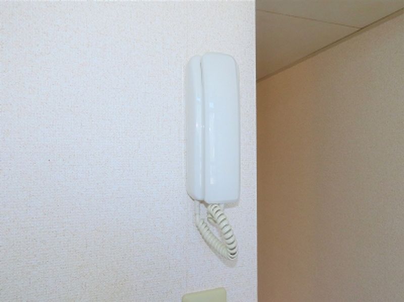 レオパレスドミールⅡ セキュリティ