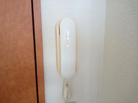 レオパレスＴＯＫＵＷＡⅡ セキュリティ