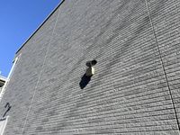 LEONEXT Olive House VI 공용 부분