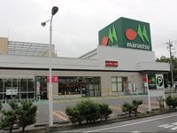 leopalace Precious SRK Surrounding area