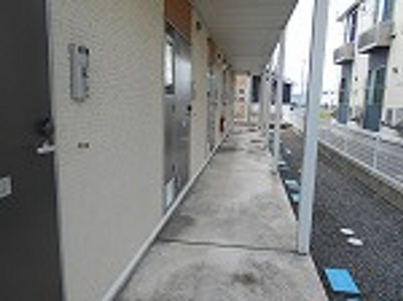 レオネクストプリマベーラ　Ⅱ その他