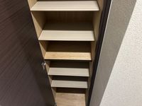 レオネクストサンムーン その他