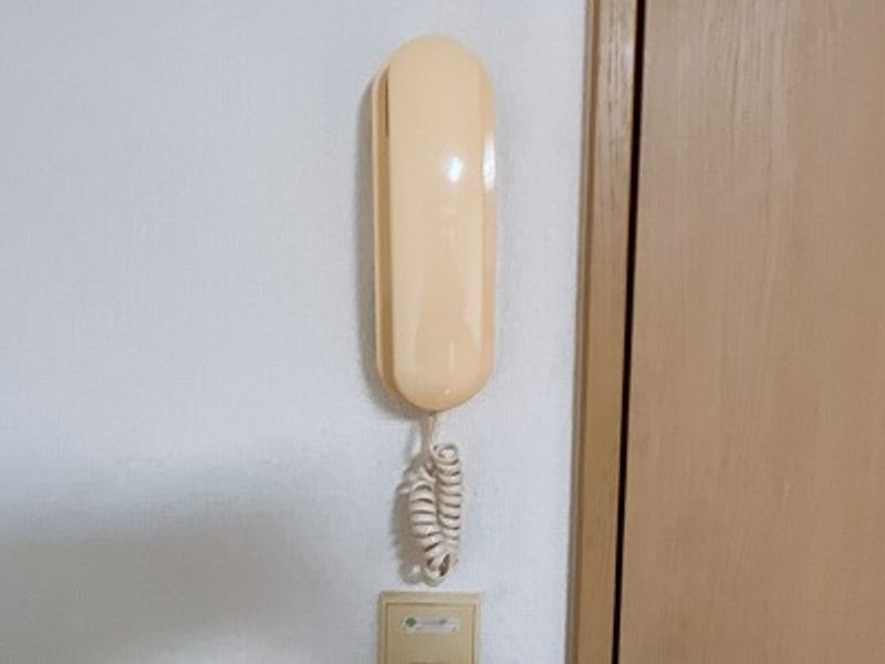レオパレスドミール セキュリティ