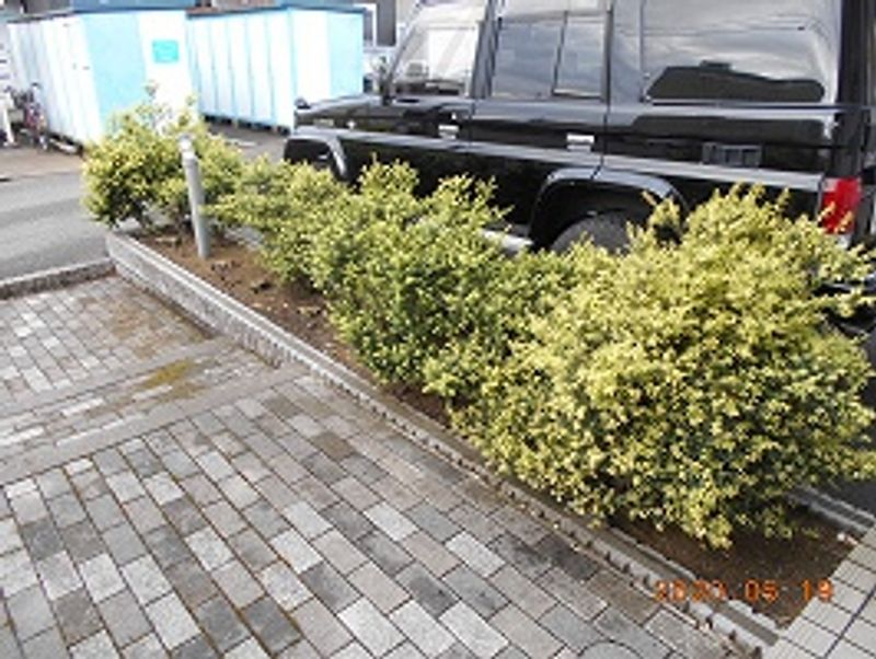 レオパレス燕良 庭