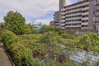 アルクヴィラ　アンシャンテ 眺望