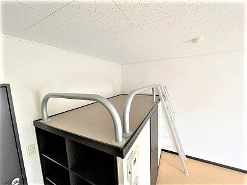 レオネクストコスモⅡ その他