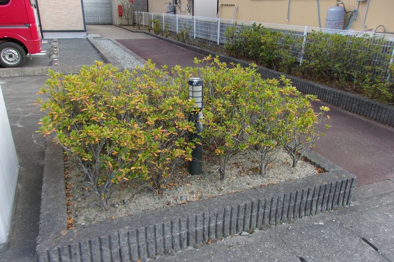 レオパレスＴＳＵＫＡＤＡ 庭
