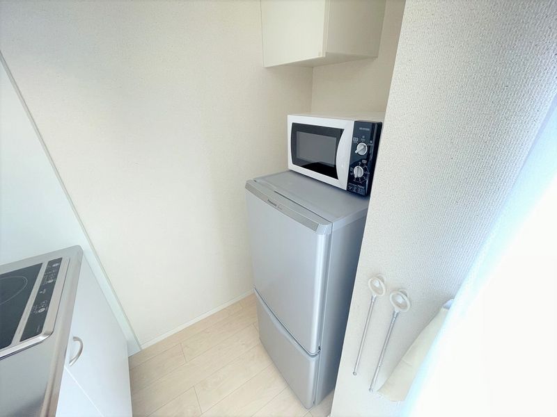 ミランダヴィーガ その他