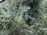 レオネクストグランドール門脇 眺望