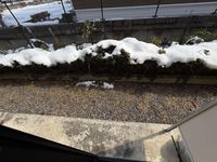 レオパレス天王 バルコニー