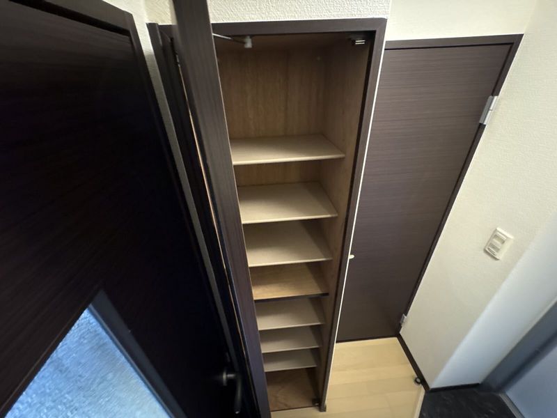 LEONEXT Morning Glory Other