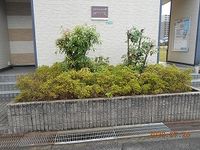 レオパレスＨ＆Ｙ その他
