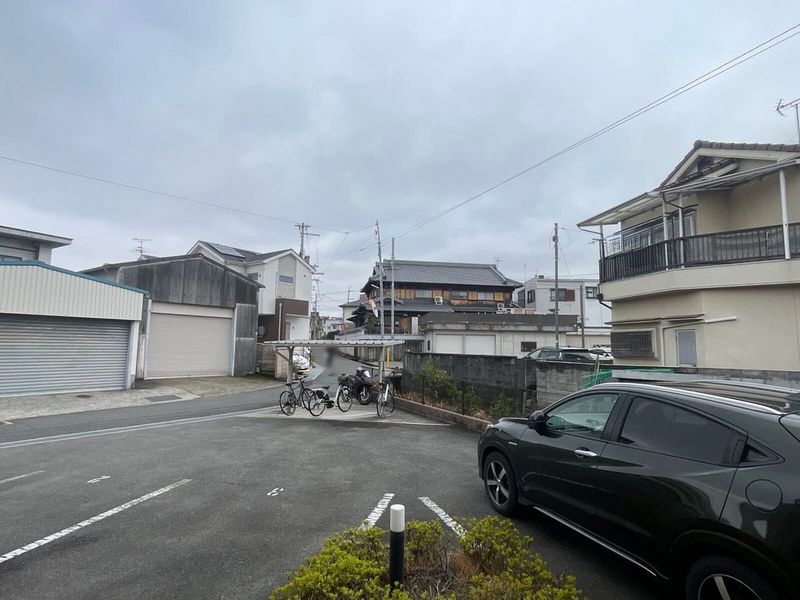 LEONEXT Kuminoki 전망