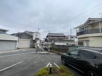 LEONEXT Kuminoki 전망