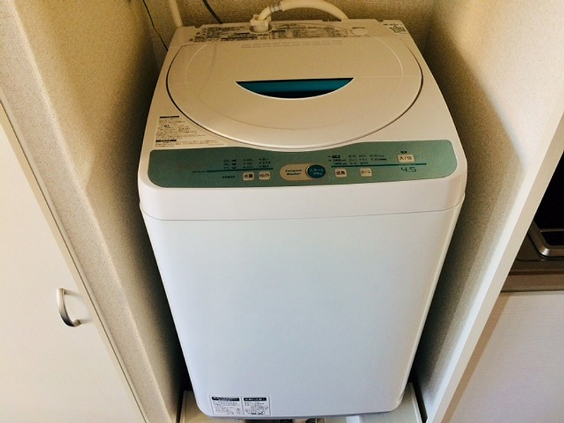 CLEINO Le Bonheur Shiraoka II Other