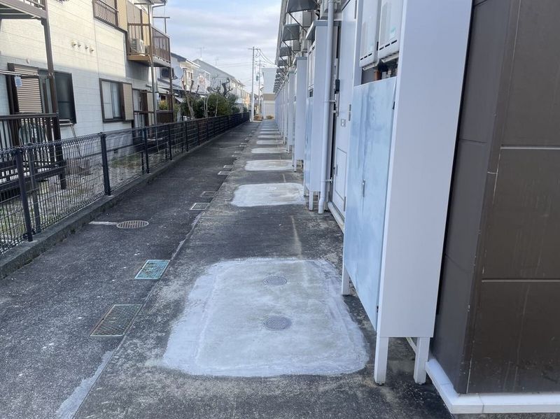 leopalace Beauty Leaf II Khác