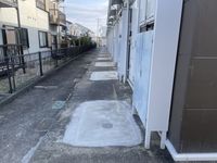 leopalace Beauty Leaf II Khác