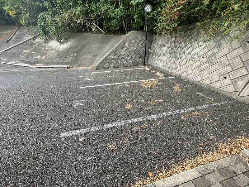 LEONEXT Mizuho III 주차장