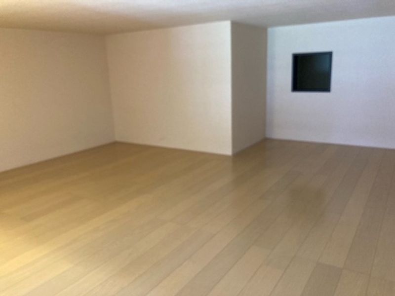 レオネクストきずな その他