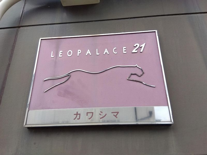 レオパレスカワシマ その他
