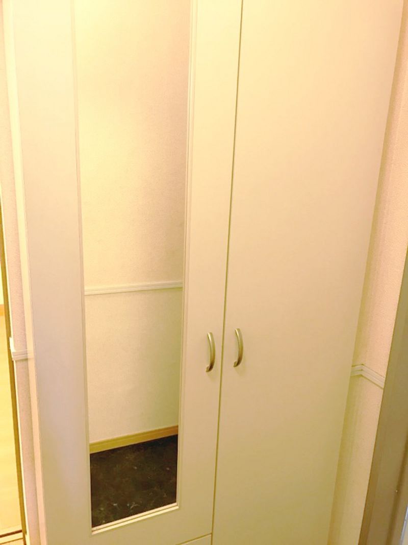 レオパレスラ　グレージュ 収納