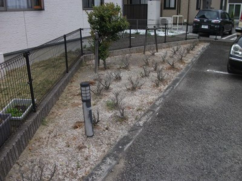 レオパレスグランシャリオＳＹ 庭