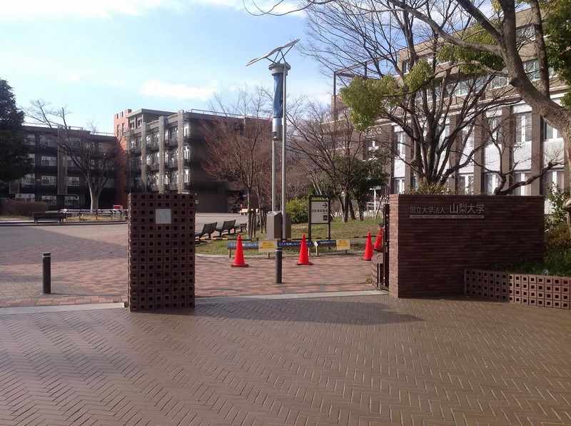 レオネクストアステール 周辺環境