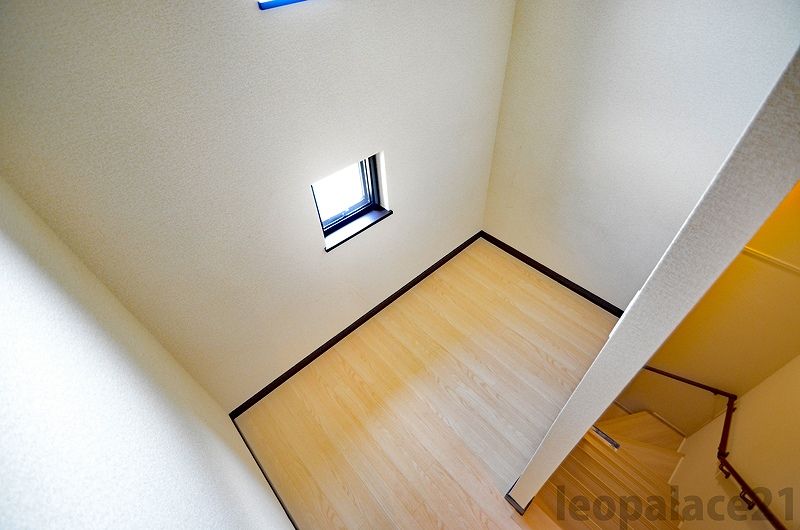 LEONEXT sky blue Khác