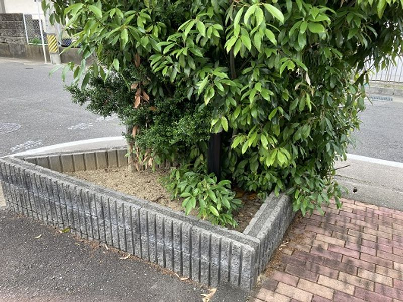 レオパレススプリングＢ 庭