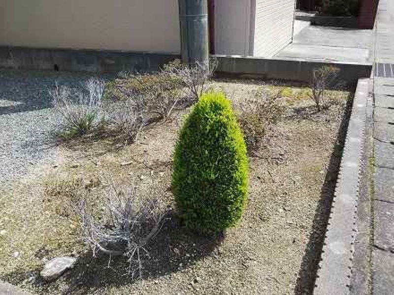 レオパレスＴⅡ その他