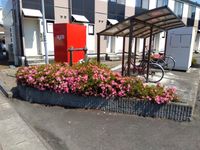 レオパレスフォンティーヌ 庭